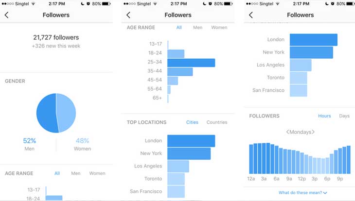 Audience Instagram (Instagram Analytics)
